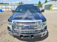2014 Ford F-150 photo