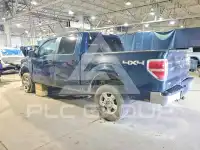 2014 Ford F-150 фото