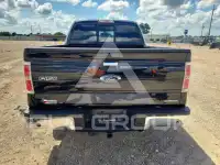2014 Ford F-150 photo