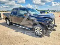 2014 Ford F-150 photo