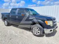 2014 Ford F-150 фото