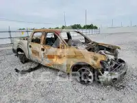 2014 Ford F-150 фото