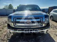 2014 Ford F-150 photo