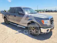 2014 Ford F-150 фото