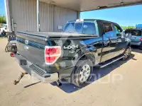 2014 Ford F-150 фото
