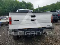 2014 Ford F-150 photo