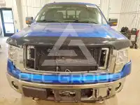 2014 Ford F-150 фото
