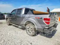 2014 Ford F-150 фото