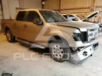 2014 Ford F-150 фото