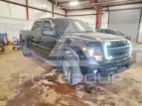 2014 Ford F-150 photo