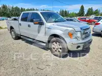 2014 Ford F-150 фото