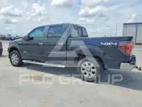 2014 Ford F-150 фото