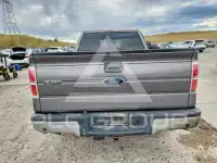 2014 Ford F-150 photo