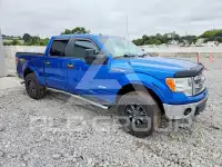 2014 Ford F-150 photo