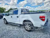 2014 Ford F-150 фото
