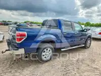 2014 Ford F-150 фото