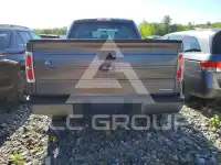 2014 Ford F-150 фото