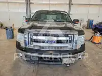 2014 Ford F-150 photo