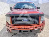 2014 Ford F-150 photo