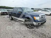 2014 Ford F-150 фото