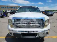 2014 Ford F-150 photo