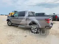 2014 Ford F-150 фото