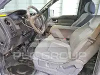 2014 Ford F-150 photo