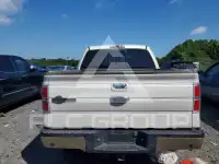 2014 Ford F-150 photo