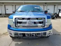 2014 Ford F-150 photo
