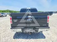 2014 Ford F-150 фото
