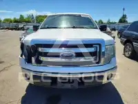 2014 Ford F-150 photo