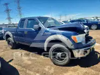 2014 Ford F-150 фото