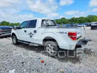 2014 Ford F-150 photo