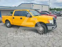 2014 Ford F-150 фото