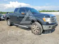 2014 Ford F-150 photo