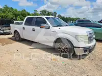 2014 Ford F-150 фото