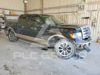 2014 Ford F-150 photo