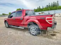 2014 Ford F-150 фото