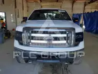 2014 Ford F-150 photo