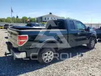 2014 Ford F-150 photo