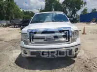 2014 Ford F-150 photo