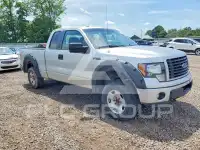 2014 Ford F-150 photo