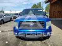 2014 Ford F-150 photo