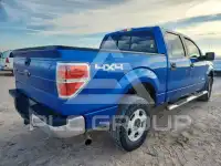 2014 Ford F-150 photo