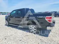 2014 Ford F-150 фото