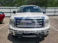 2014 Ford F-150 photo