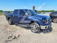 2014 Ford F-150 фото