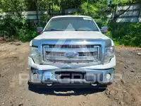 2014 Ford F-150 photo