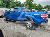 2014 Ford F-150 photo