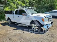 2014 Ford F-150 photo